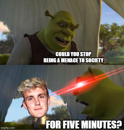 Shrek For Five Minutes | COULD YOU STOP BEING A MENACE TO SOCIETY; FOR FIVE MINUTES? | image tagged in shrek for five minutes | made w/ Imgflip meme maker