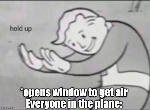 Wait- | *opens window to get air
Everyone in the plane: | image tagged in fallout hold up | made w/ Imgflip meme maker