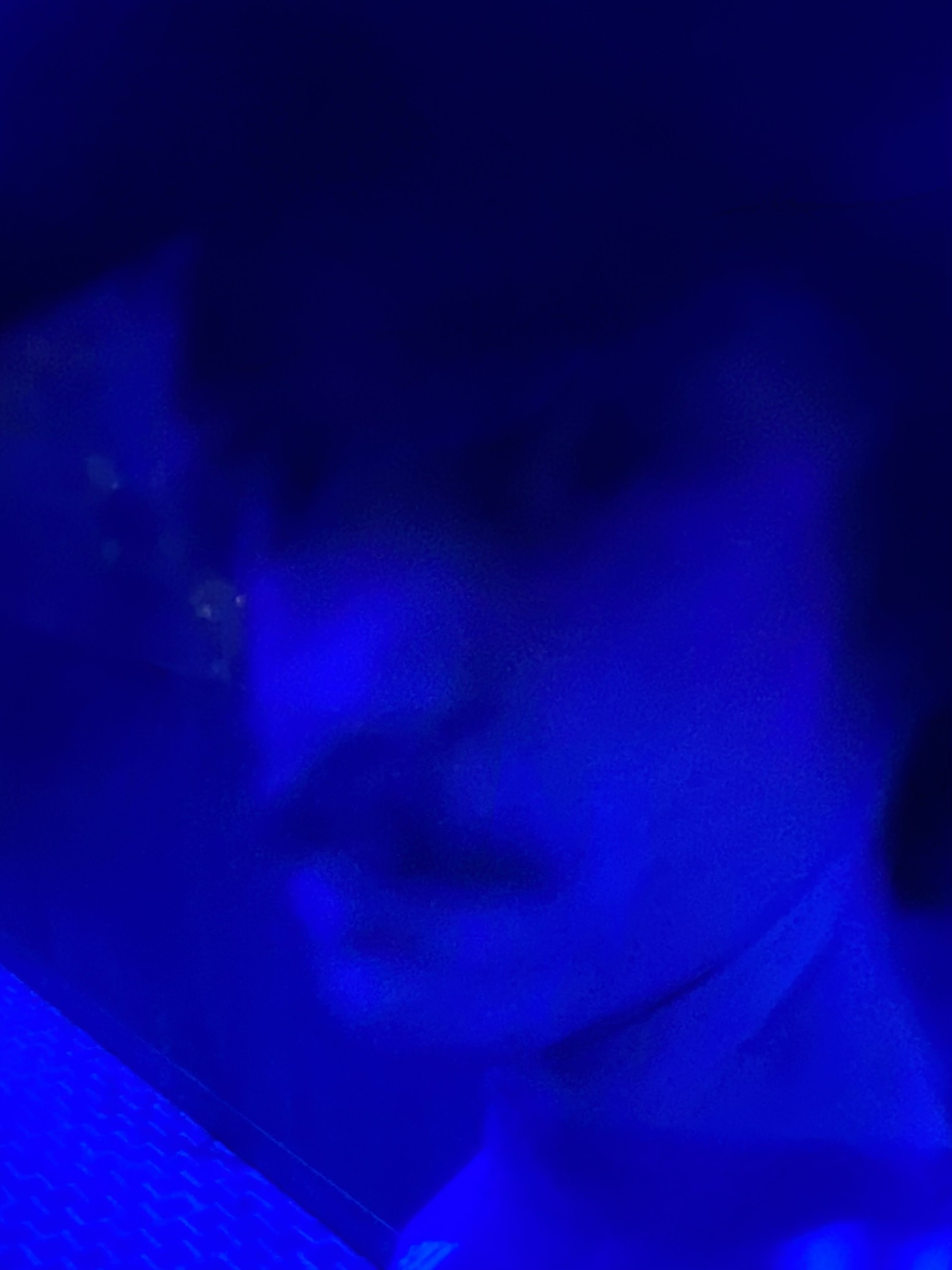 Devon Blank Meme Template