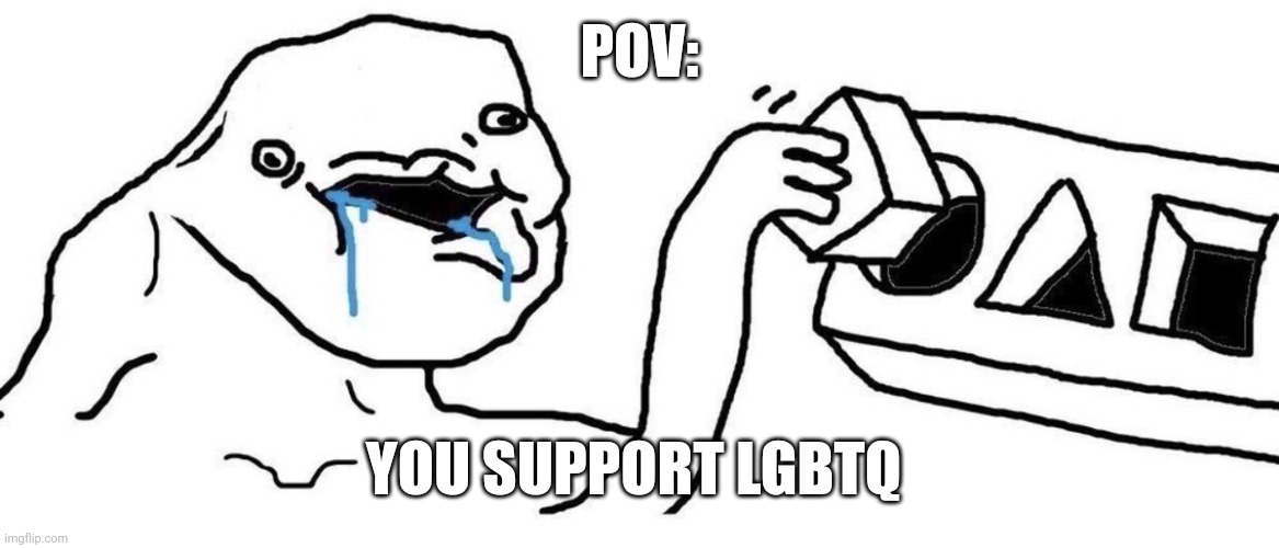 Please don't support the anomalies | POV:; YOU SUPPORT LGBTQ | image tagged in brainlet blocks | made w/ Imgflip meme maker