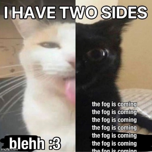 the fog is coming the fog is coming the fog is coming the fog is coming the fog is coming the fog is coming the fog is coming | image tagged in the fog is coming | made w/ Imgflip meme maker