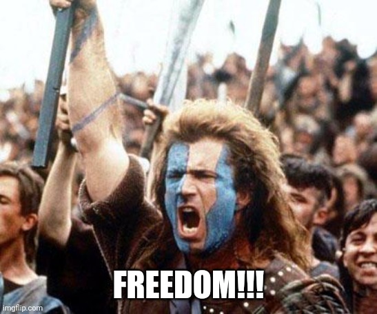 braveheart freedom | FREEDOM!!! | image tagged in braveheart freedom | made w/ Imgflip meme maker