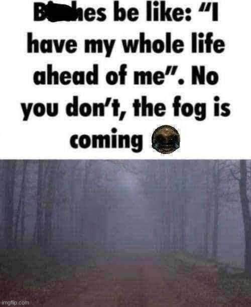 image tagged in the fog is coming | made w/ Imgflip meme maker