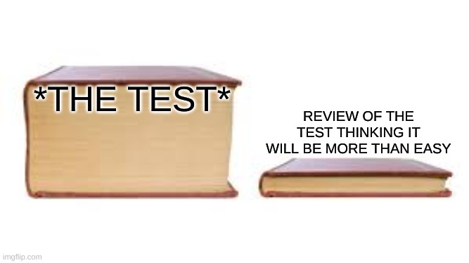 Big book small book | *THE TEST*; REVIEW OF THE TEST THINKING IT WILL BE MORE THAN EASY | image tagged in big book small book | made w/ Imgflip meme maker