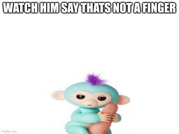 Monke | WATCH HIM SAY THATS NOT A FINGER | image tagged in monke | made w/ Imgflip meme maker