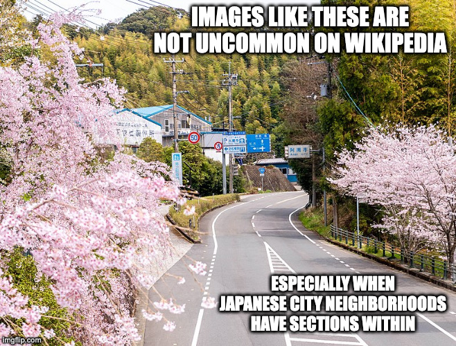 Asebi, Anan | IMAGES LIKE THESE ARE NOT UNCOMMON ON WIKIPEDIA; ESPECIALLY WHEN JAPANESE CITY NEIGHBORHOODS HAVE SECTIONS WITHIN | image tagged in city,memes,wikipedia | made w/ Imgflip meme maker