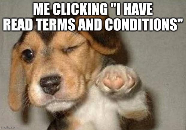 things | ME CLICKING "I HAVE READ TERMS AND CONDITIONS" | image tagged in winking dog | made w/ Imgflip meme maker