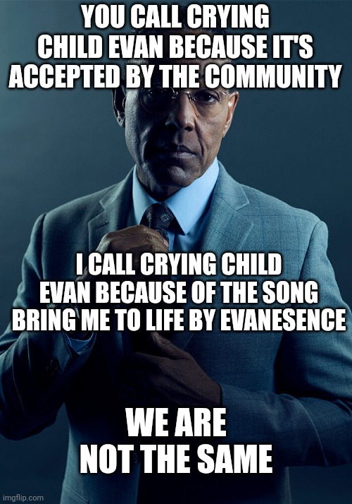 I am not kidding | YOU CALL CRYING CHILD EVAN BECAUSE IT'S ACCEPTED BY THE COMMUNITY; I CALL CRYING CHILD EVAN BECAUSE OF THE SONG BRING ME TO LIFE BY EVANESENCE; WE ARE NOT THE SAME | image tagged in gus fring we are not the same | made w/ Imgflip meme maker