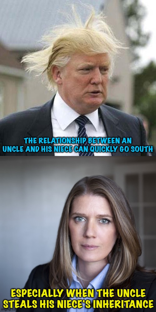 Maybe the sleaziest thing Trump has ever done | THE RELATIONSHIP BETWEEN AN UNCLE AND HIS NIECE CAN QUICKLY GO SOUTH; ESPECIALLY WHEN THE UNCLE STEALS HIS NIECE'S INHERITANCE | image tagged in donald trump,mary l trump | made w/ Imgflip meme maker