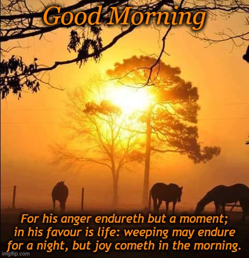 Good Morning; For his anger endureth but a moment; in his favour is life: weeping may endure for a night, but joy cometh in the morning. | image tagged in good morning | made w/ Imgflip meme maker