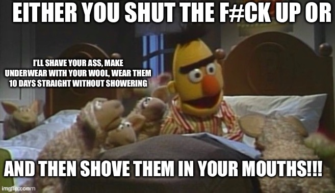 Don’t f#ck with Bert | EITHER YOU SHUT THE F#CK UP OR; I’LL SHAVE YOUR ASS, MAKE UNDERWEAR WITH YOUR WOOL, WEAR THEM 10 DAYS STRAIGHT WITHOUT SHOWERING; AND THEN SHOVE THEM IN YOUR MOUTHS!!! | image tagged in bert,sesame street,sesame street - angry bert | made w/ Imgflip meme maker