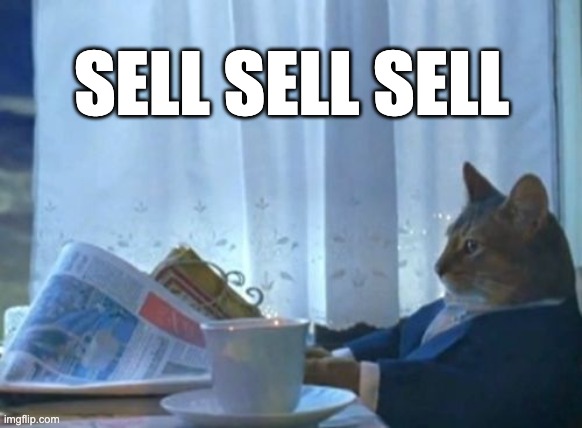 Sell Sell Sell | SELL SELL SELL | image tagged in memes,i should buy a boat cat | made w/ Imgflip meme maker