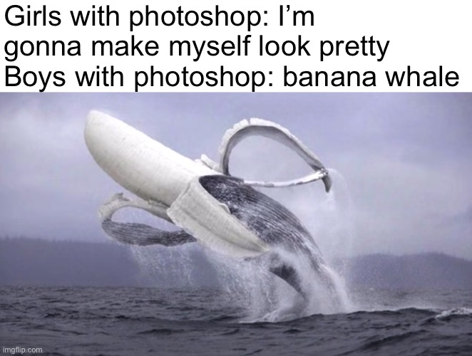 Lol | Girls with photoshop: I’m gonna make myself look pretty
Boys with photoshop: banana whale | image tagged in banana whale | made w/ Imgflip meme maker