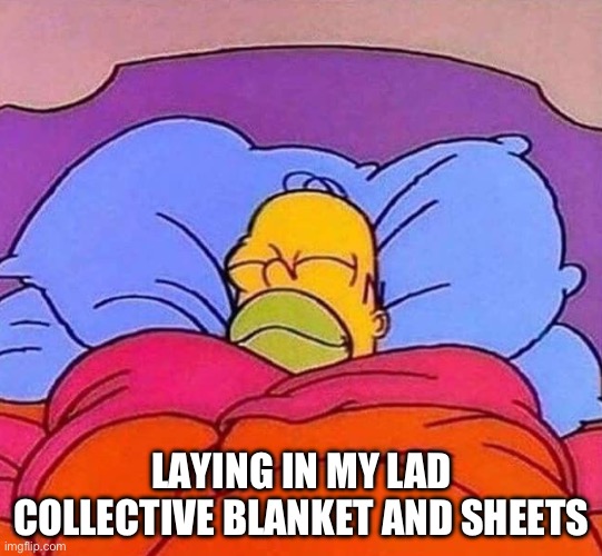 Sleeping with lad collective | LAYING IN MY LAD COLLECTIVE BLANKET AND SHEETS | image tagged in homer simpson sleeping peacefully,sleep,lad collective | made w/ Imgflip meme maker