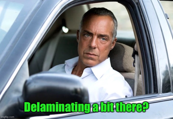 Bosch | Delaminating a bit there? | image tagged in bosch | made w/ Imgflip meme maker