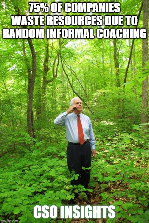 Lost in the Woods | 75% OF COMPANIES WASTE RESOURCES DUE TO RANDOM INFORMAL COACHING; CSO INSIGHTS | image tagged in lost in the woods | made w/ Imgflip meme maker