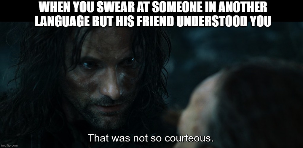 in a friend group no less | WHEN YOU SWEAR AT SOMEONE IN ANOTHER LANGUAGE BUT HIS FRIEND UNDERSTOOD YOU | image tagged in memes | made w/ Imgflip meme maker