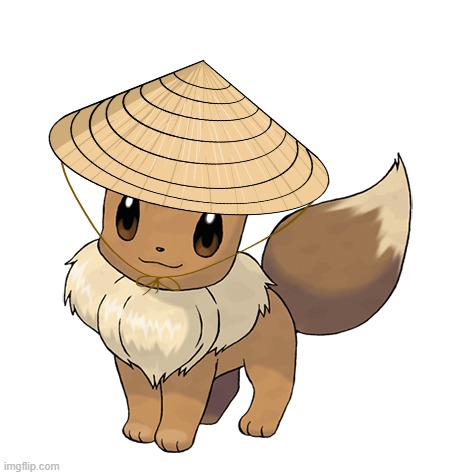 eevee in vietnam conical hat | image tagged in pokemon,eevee | made w/ Imgflip meme maker