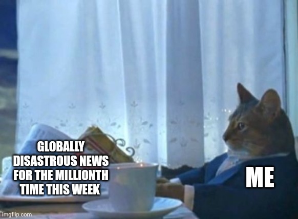 Just another disaster | GLOBALLY DISASTROUS NEWS FOR THE MILLIONTH TIME THIS WEEK; ME | image tagged in memes,i should buy a boat cat | made w/ Imgflip meme maker
