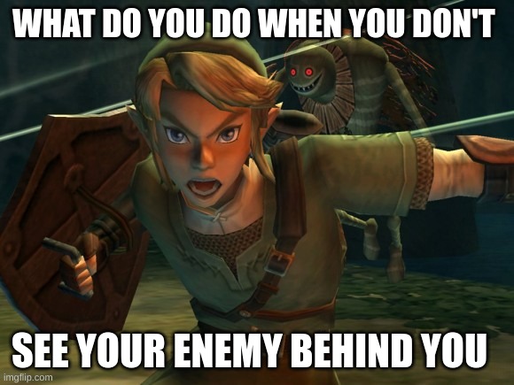 Link Legend of Zelda Yelling | WHAT DO YOU DO WHEN YOU DON'T; SEE YOUR ENEMY BEHIND YOU | image tagged in link legend of zelda yelling | made w/ Imgflip meme maker