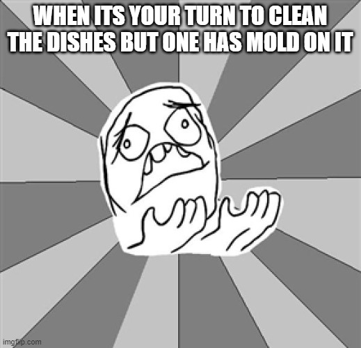 and it be looking like old people pubes | WHEN ITS YOUR TURN TO CLEAN THE DISHES BUT ONE HAS MOLD ON IT | image tagged in whyyy | made w/ Imgflip meme maker