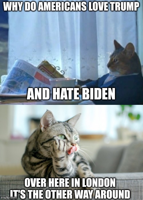 Seriously guys | WHY DO AMERICANS LOVE TRUMP; AND HATE BIDEN; OVER HERE IN LONDON IT'S THE OTHER WAY AROUND | image tagged in memes,i should buy a boat cat | made w/ Imgflip meme maker