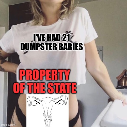 Sexy woman shirt | PROPERTY OF THE STATE I’VE HAD 21 DUMPSTER BABIES | image tagged in sexy woman shirt | made w/ Imgflip meme maker