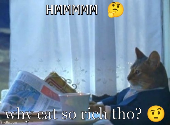 only the most serious of questions | HMMMMM 🤔; why cat so rich tho? 🤨 | image tagged in memes,i should buy a boat cat | made w/ Imgflip meme maker