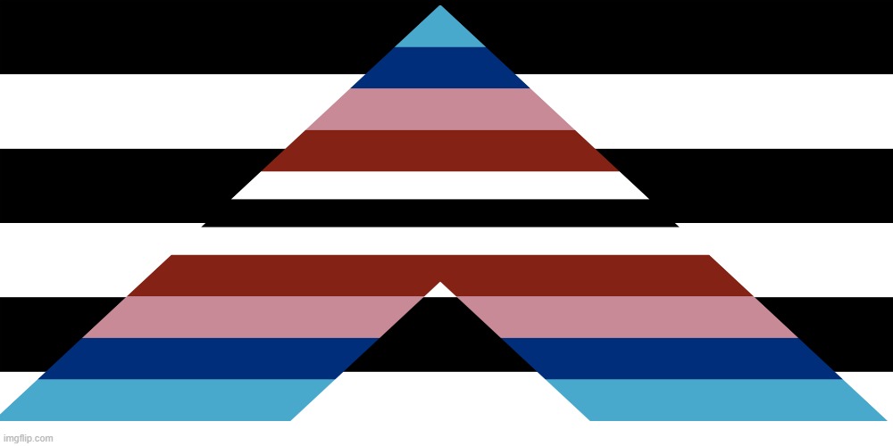 Proud Straight Detrans Ally Flag | image tagged in detrans,detransitioner,visibility,ally,lgbt,straight | made w/ Imgflip meme maker