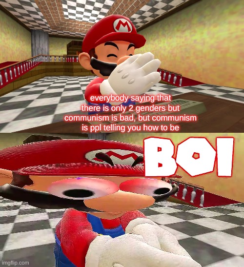SMG4 Mario Plays Unfair Mario: B O I | everybody saying that there is only 2 genders but communism is bad, but communism is ppl telling you how to be | image tagged in smg4 mario plays unfair mario b o i | made w/ Imgflip meme maker