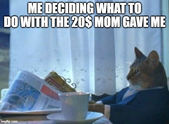 Bro I cant decide | ME DECIDING WHAT TO DO WITH THE 20$ MOM GAVE ME | image tagged in memes,i should buy a boat cat | made w/ Imgflip meme maker