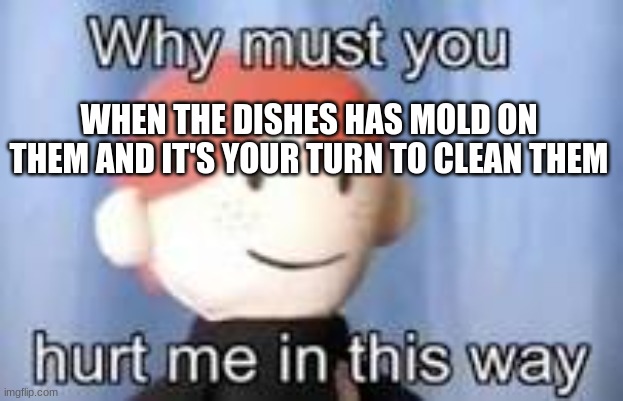 Why must you hurt me in this way | WHEN THE DISHES HAS MOLD ON THEM AND IT'S YOUR TURN TO CLEAN THEM | image tagged in why must you hurt me in this way | made w/ Imgflip meme maker