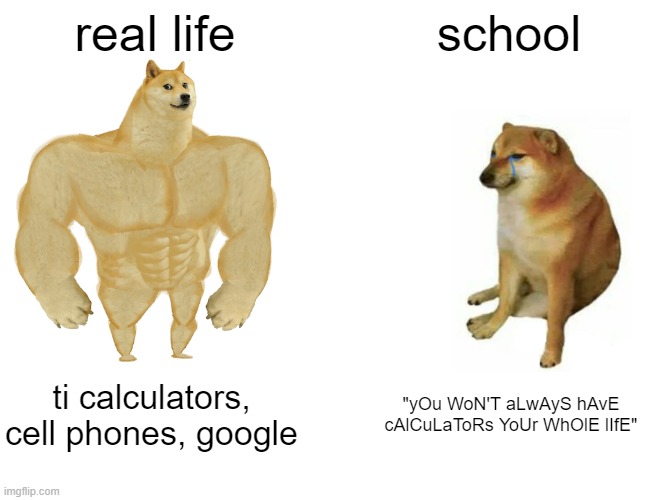 Calculators? | real life; school; ti calculators, cell phones, google; "yOu WoN'T aLwAyS hAvE cAlCuLaToRs YoUr WhOlE lIfE" | image tagged in memes,buff doge vs cheems | made w/ Imgflip meme maker