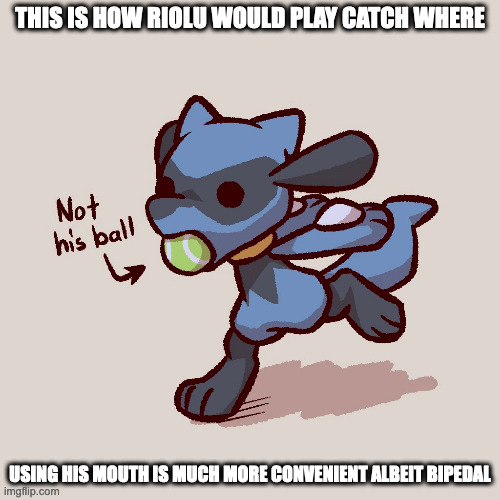 Riolu Playing Catch | THIS IS HOW RIOLU WOULD PLAY CATCH WHERE; USING HIS MOUTH IS MUCH MORE CONVENIENT ALBEIT BIPEDAL | image tagged in riolu,pokemon,memes | made w/ Imgflip meme maker