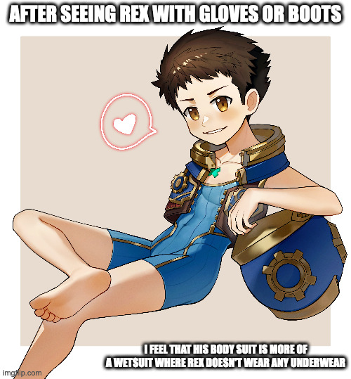 Rex Without Gloves and Boots | AFTER SEEING REX WITH GLOVES OR BOOTS; I FEEL THAT HIS BODY SUIT IS MORE OF A WETSUIT WHERE REX DOESN'T WEAR ANY UNDERWEAR | image tagged in rex,xenoblade,memes | made w/ Imgflip meme maker