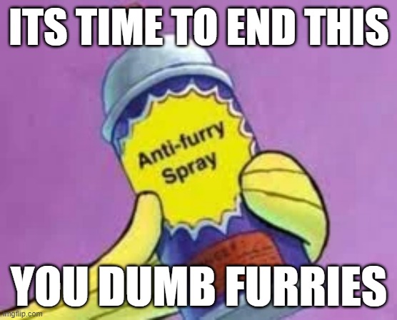 Its time | ITS TIME TO END THIS; YOU DUMB FURRIES | image tagged in anti furry,anti meme | made w/ Imgflip meme maker