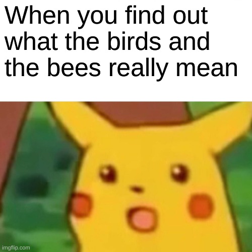 Surprised Pikachu Meme | When you find out what the birds and the bees really mean | image tagged in memes,surprised pikachu | made w/ Imgflip meme maker
