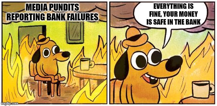 Bank Meltdowns | EVERYTHING IS FINE, YOUR MONEY IS SAFE IN THE BANK; MEDIA PUNDITS REPORTING BANK FAILURES | image tagged in this is fine blank,banks,corruption,crisis | made w/ Imgflip meme maker