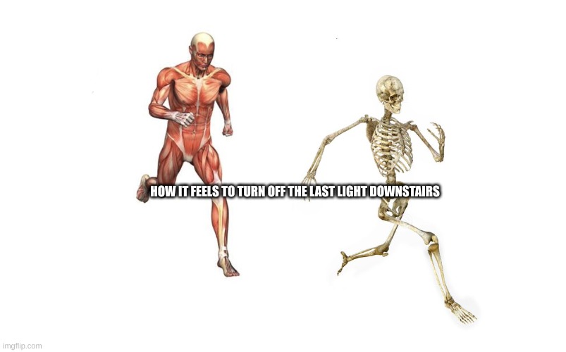 run skeleton | HOW IT FEELS TO TURN OFF THE LAST LIGHT DOWNSTAIRS | image tagged in run skeleton | made w/ Imgflip meme maker