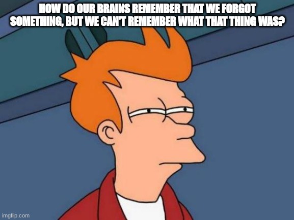 Futurama Fry Meme | HOW DO OUR BRAINS REMEMBER THAT WE FORGOT SOMETHING, BUT WE CAN'T REMEMBER WHAT THAT THING WAS? | image tagged in memes,futurama fry | made w/ Imgflip meme maker