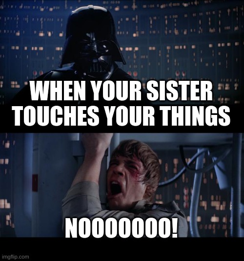 Star Wars No | WHEN YOUR SISTER TOUCHES YOUR THINGS; NOOOOOOO! | image tagged in memes,star wars no | made w/ Imgflip meme maker