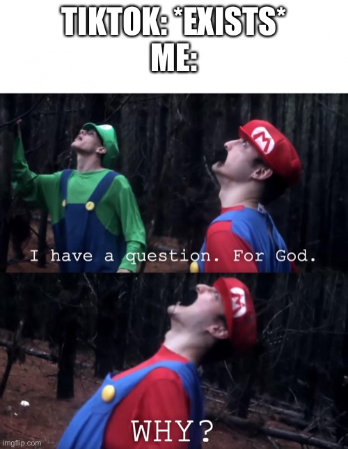 I have a question. For God | TIKTOK: *EXISTS*
ME: | image tagged in i have a question for god,tiktok sucks | made w/ Imgflip meme maker