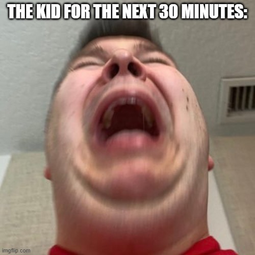 Nicocado Cry | THE KID FOR THE NEXT 30 MINUTES: | image tagged in nicocado cry | made w/ Imgflip meme maker