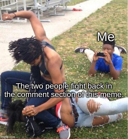 Can two people please fight  in the comment section of this meme | Me; The two people fight back in the comment section of this meme. | image tagged in guy recording a fight | made w/ Imgflip meme maker