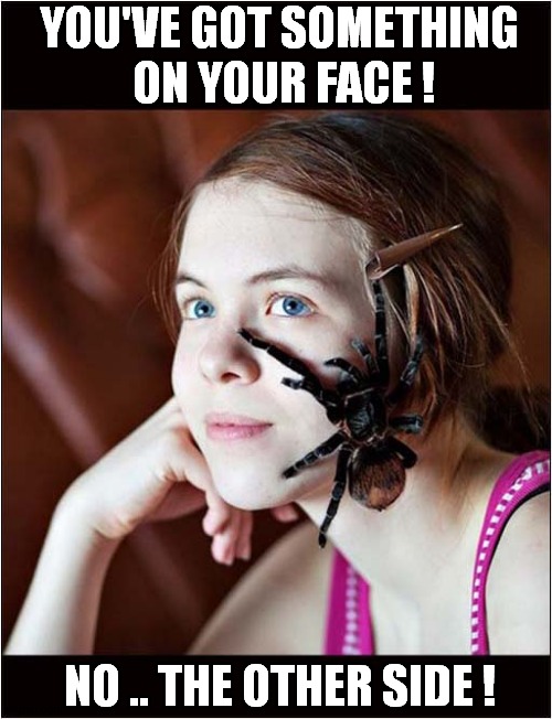 Spot The Spider ! | YOU'VE GOT SOMETHING
 ON YOUR FACE ! NO .. THE OTHER SIDE ! | image tagged in spider,face,dark humour | made w/ Imgflip meme maker