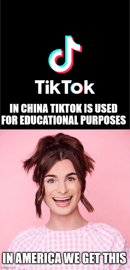 tiktok | IN CHINA TIKTOK IS USED FOR EDUCATIONAL PURPOSES; IN AMERICA WE GET THIS | image tagged in tiktok logo,dylan mulvaney | made w/ Imgflip meme maker