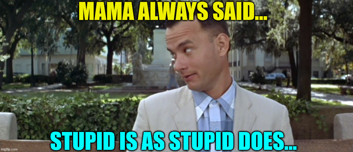 Forest Gump | MAMA ALWAYS SAID... STUPID IS AS STUPID DOES... | image tagged in forest gump | made w/ Imgflip meme maker