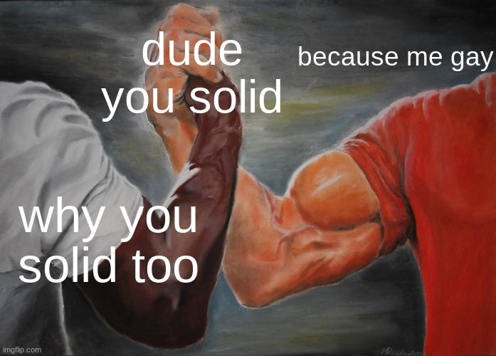 Epic Handshake | because me gay; dude you solid; why you solid too | image tagged in memes,epic handshake | made w/ Imgflip meme maker