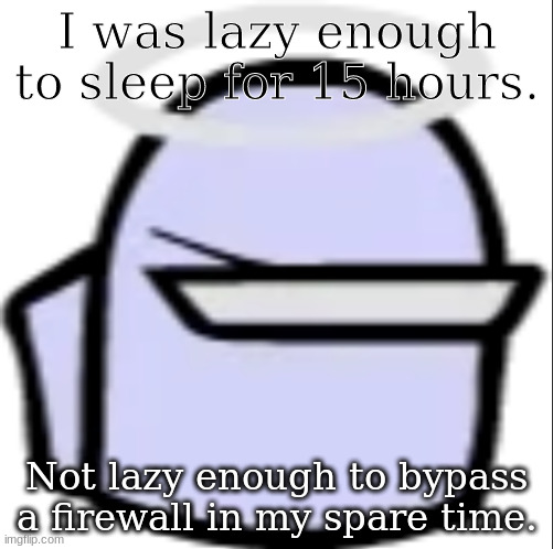 hac | I was lazy enough to sleep for 15 hours. Not lazy enough to bypass a firewall in my spare time. | image tagged in white impostor icon | made w/ Imgflip meme maker