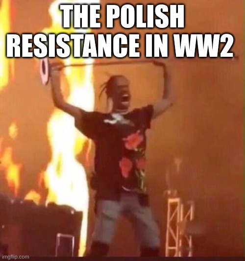true | THE POLISH RESISTANCE IN WW2 | image tagged in travis scott | made w/ Imgflip meme maker